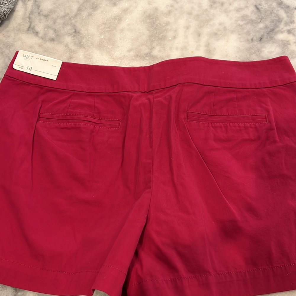 Loft shorts - Picture 4 of 5